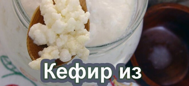 Кефир из козьего молока